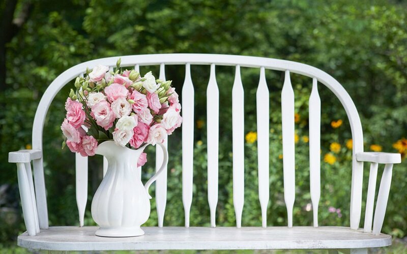 Flowers in White Pitcher — Serene