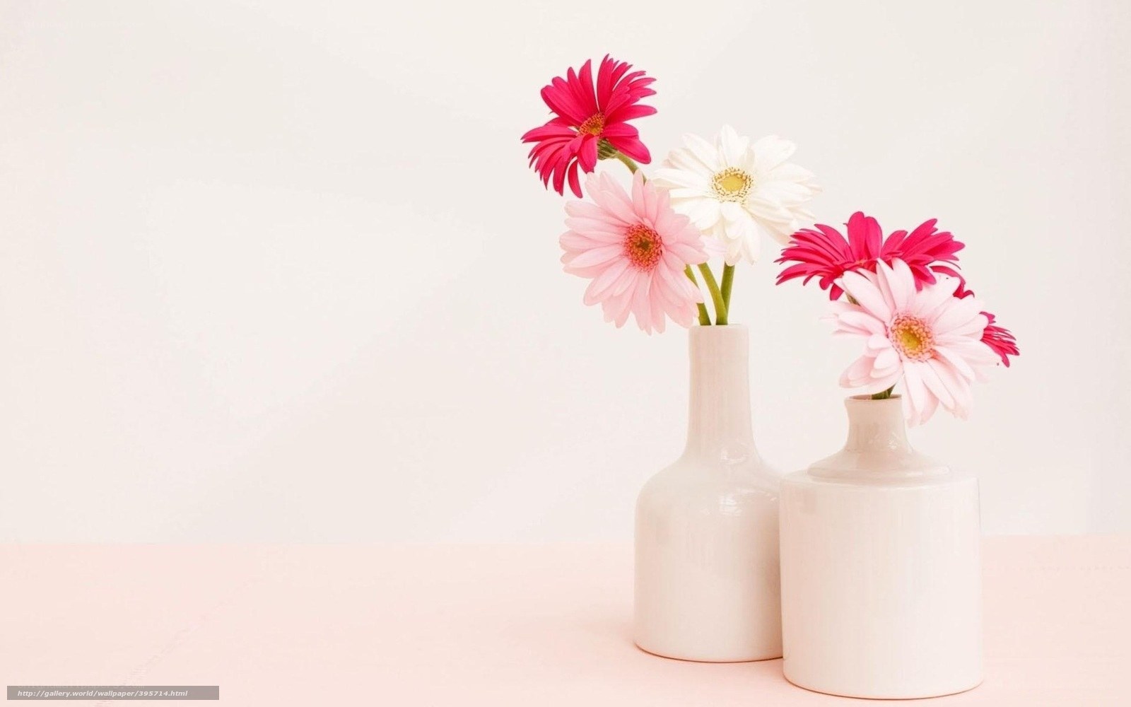 Flowers in white vases