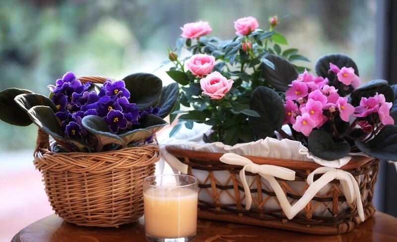 Flowers in wicker baskets