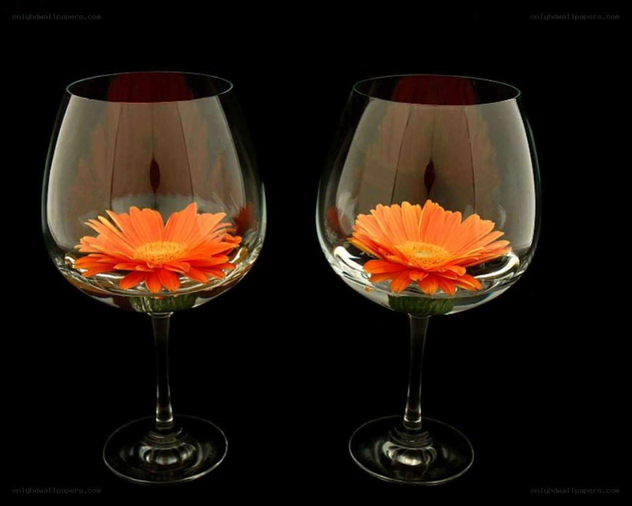 Flowers in wine glasses