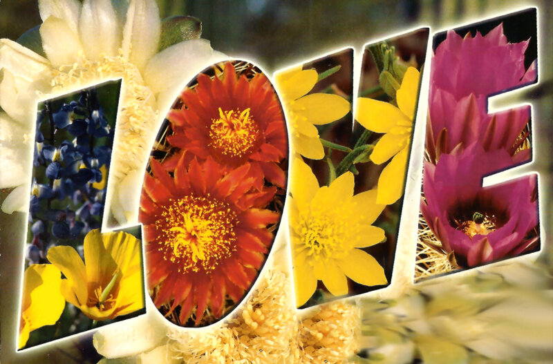 Flowers in Word LOVE