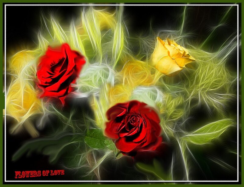 Flowers of Love