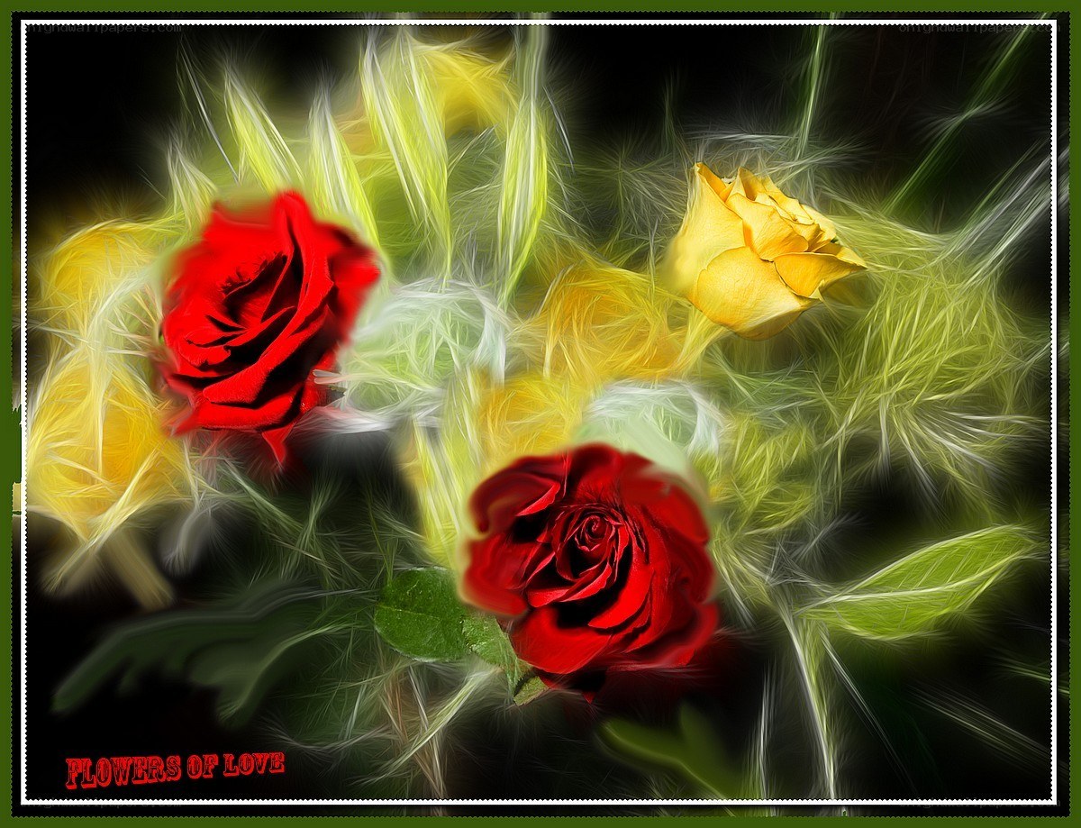Flowers of Love