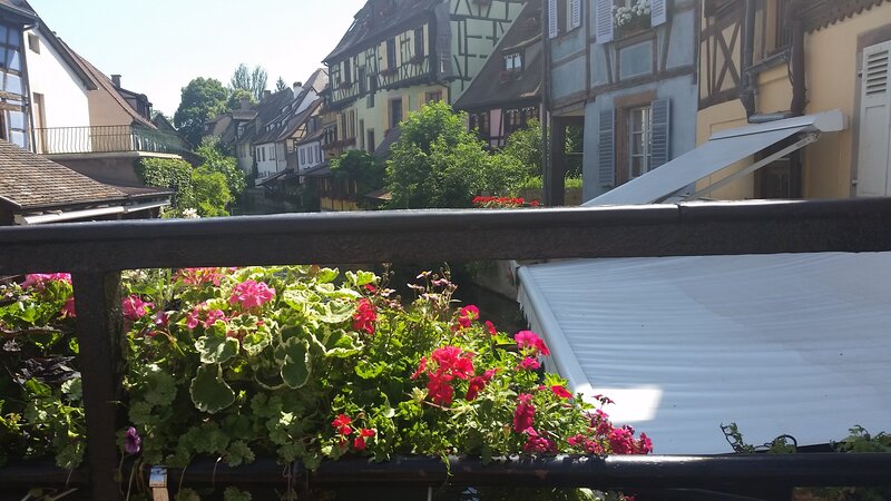 Flowers on a Balcony — Green