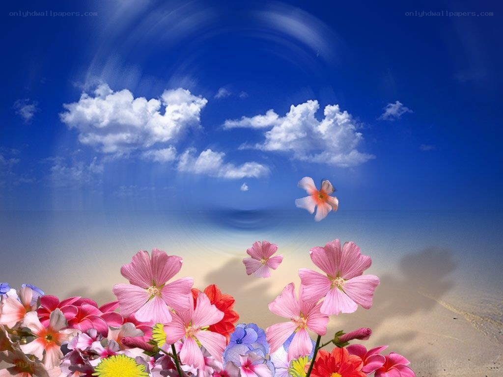 Flowers on a beach with sky