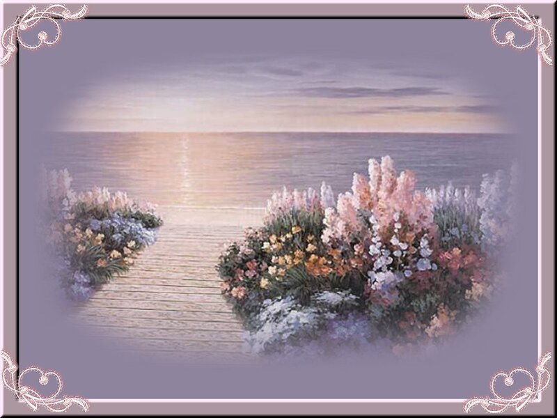 Flowers on a Boardwalk