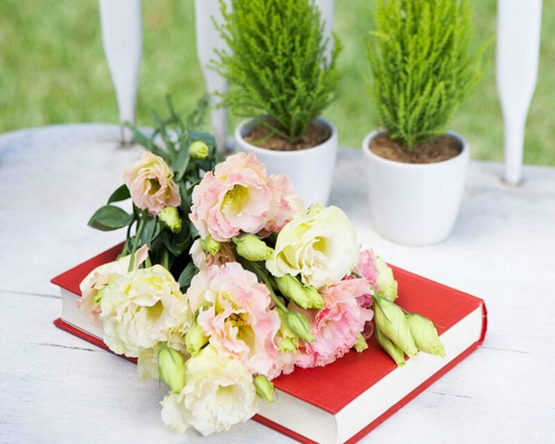 Flowers on a Book