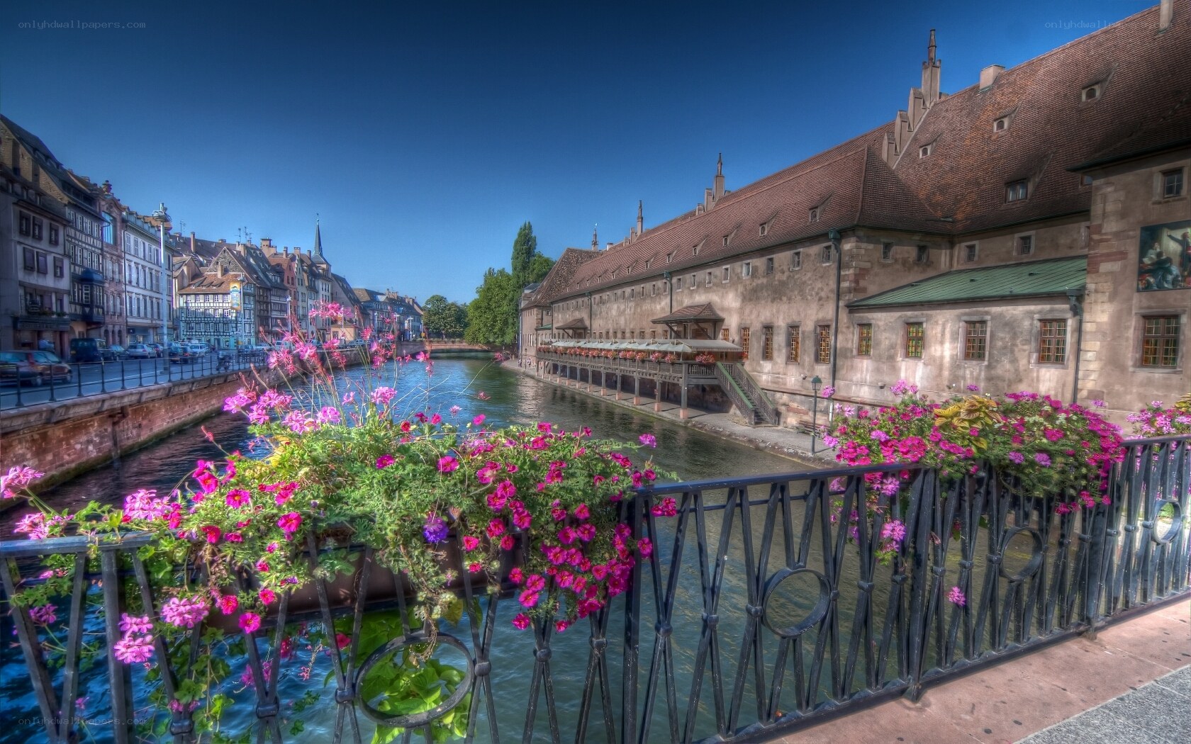 Flowers on a bridge in Strasbourg