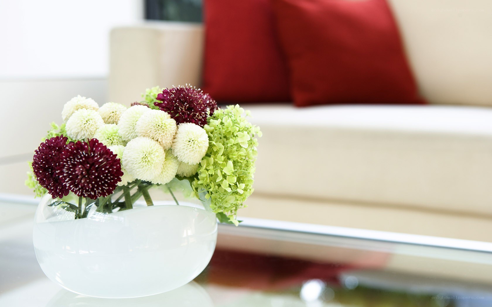 Flowers on a coffee table