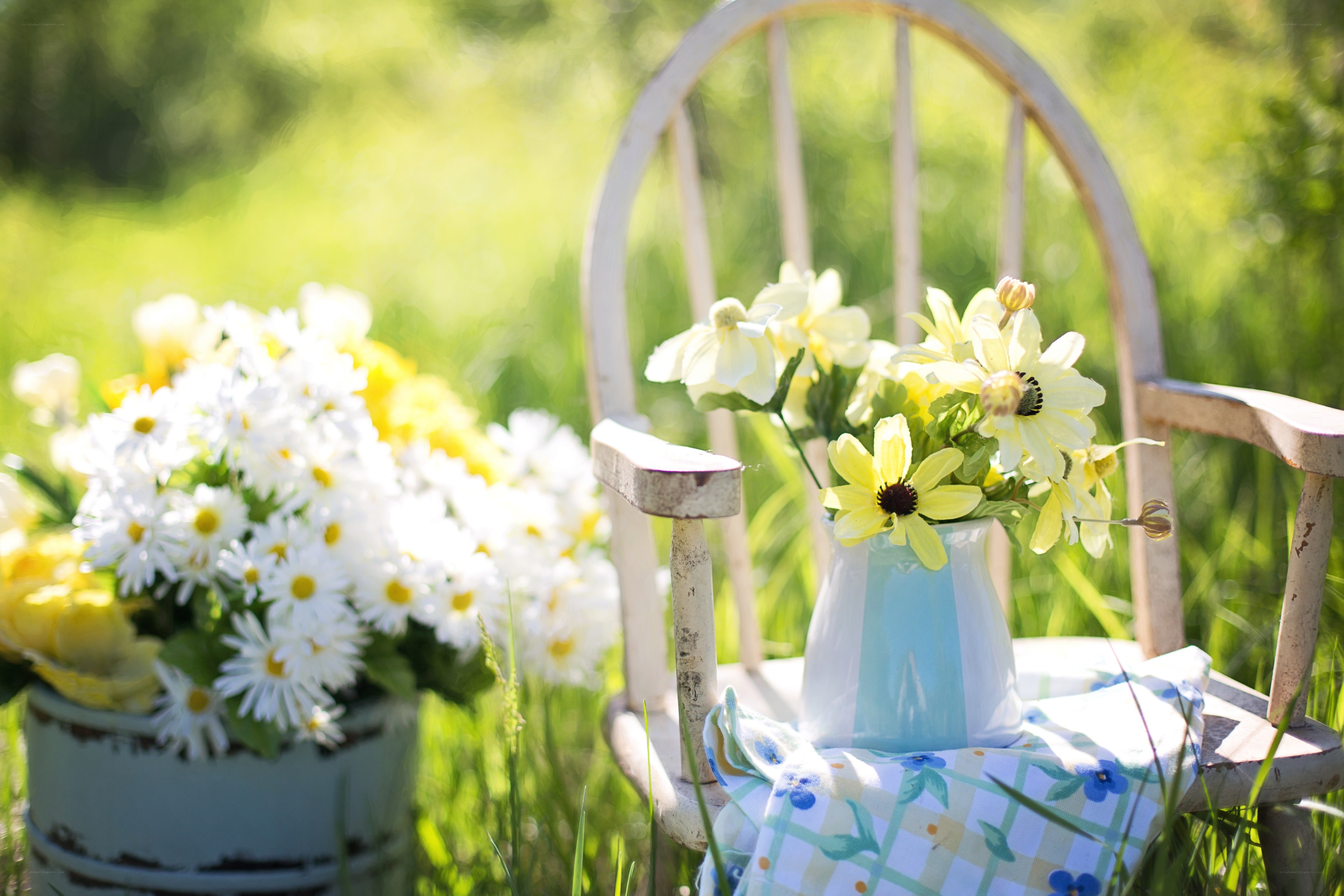 Flowers on a garden chair