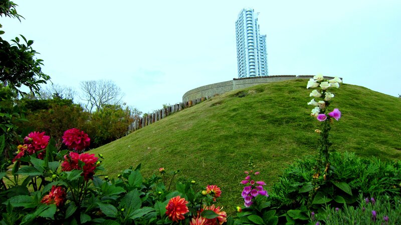Flowers on a Grassy Hill