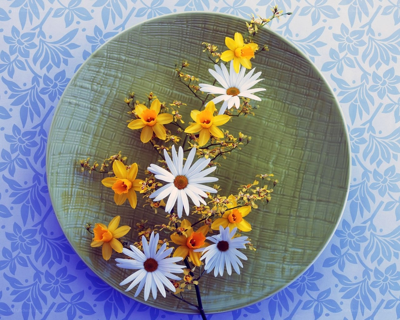 Flowers on a green plate