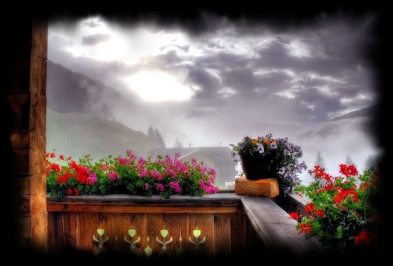 Flowers on a misty balcony