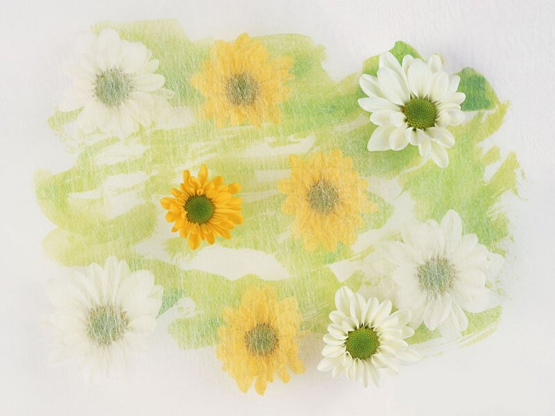 Flowers on a painted background