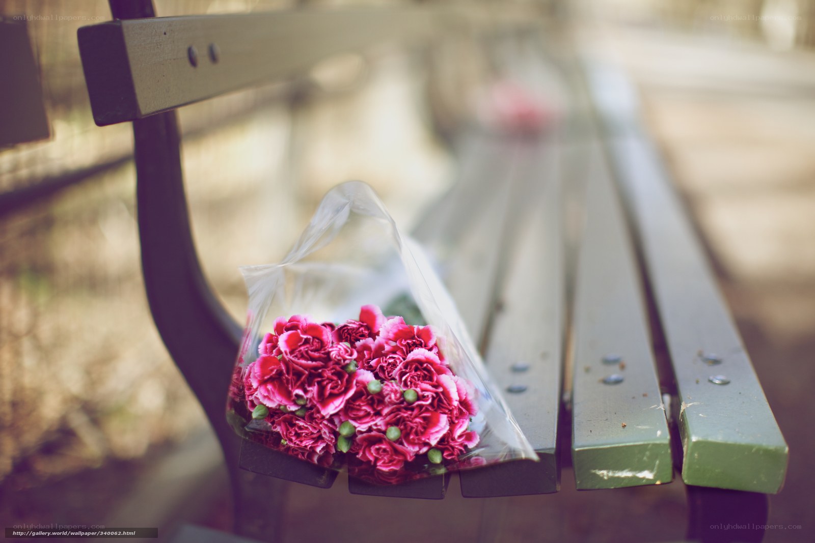 Flowers on a park bench