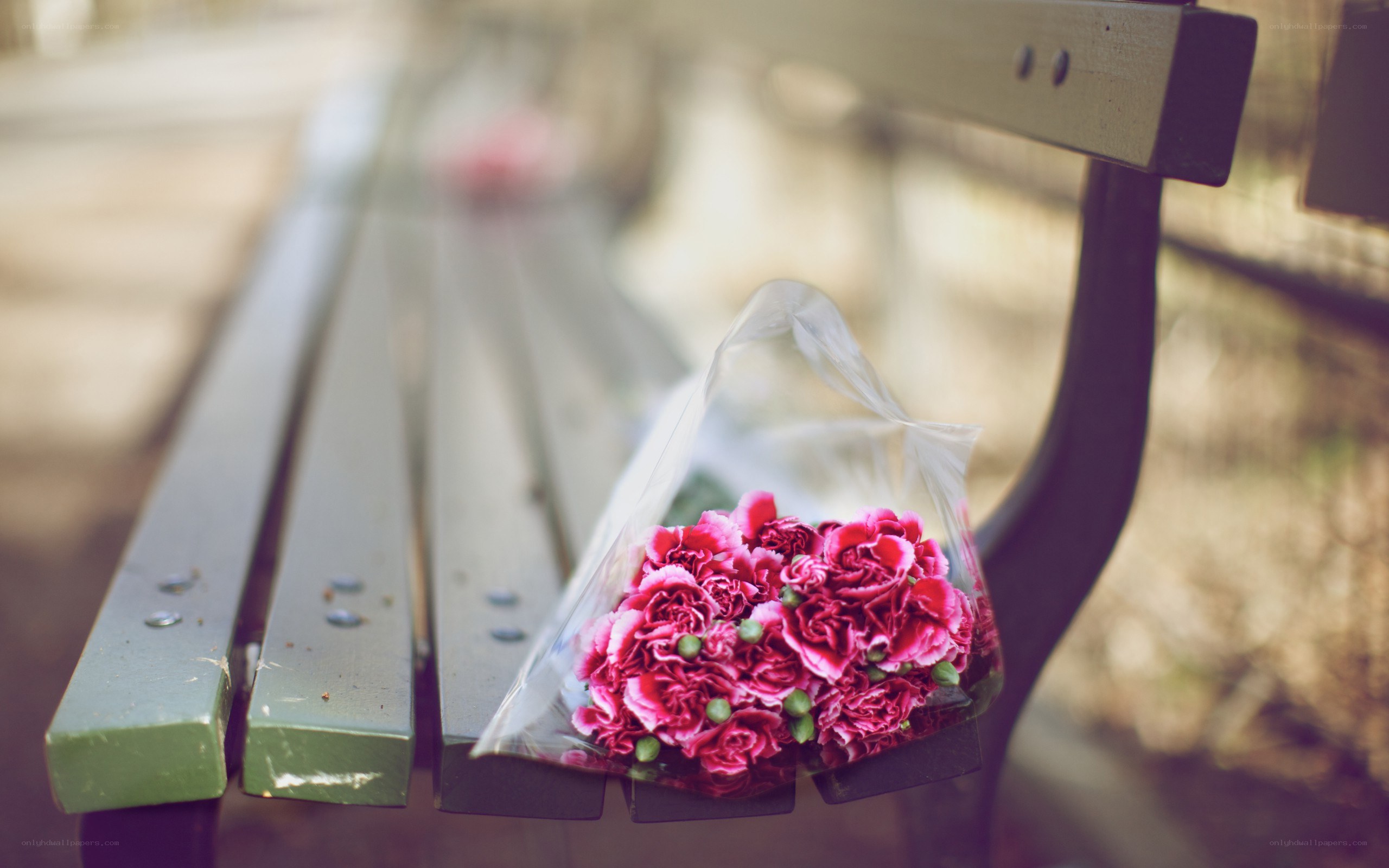 Flowers on a park bench