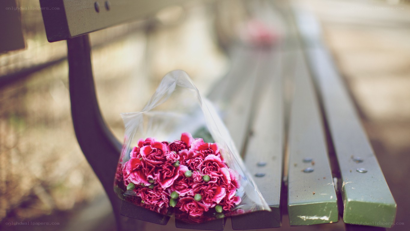 Flowers on a park bench