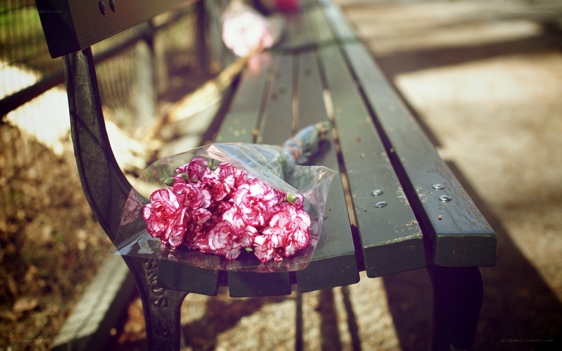 Flowers on a park bench