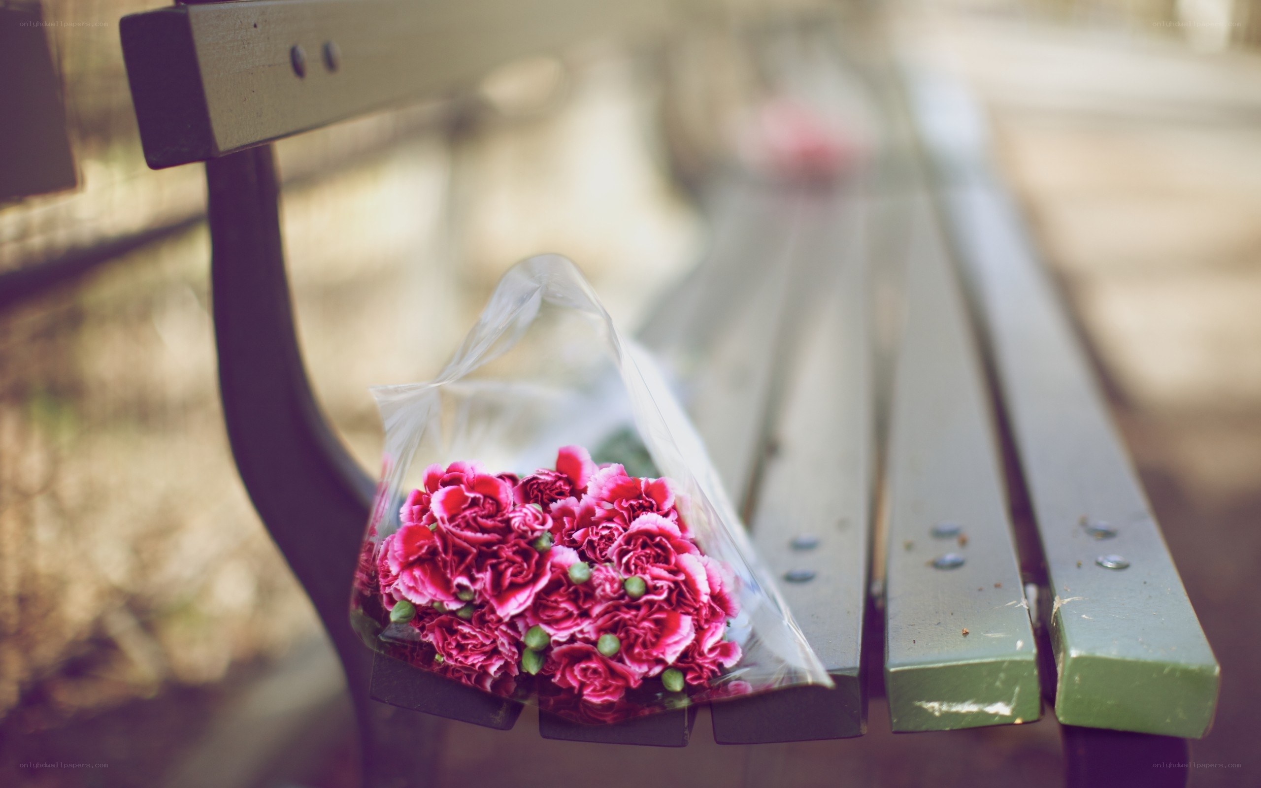 Flowers on a park bench