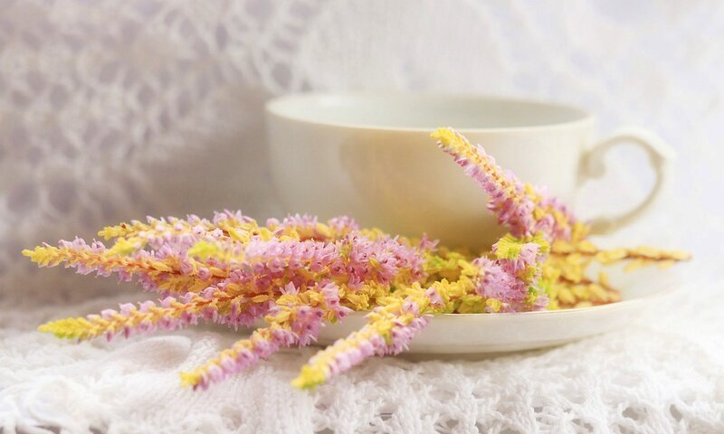 Flowers on a Teacup