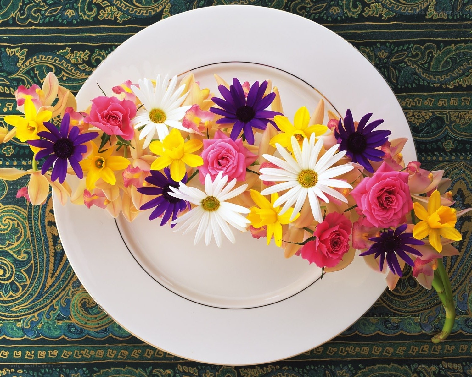 Flowers on a white plate