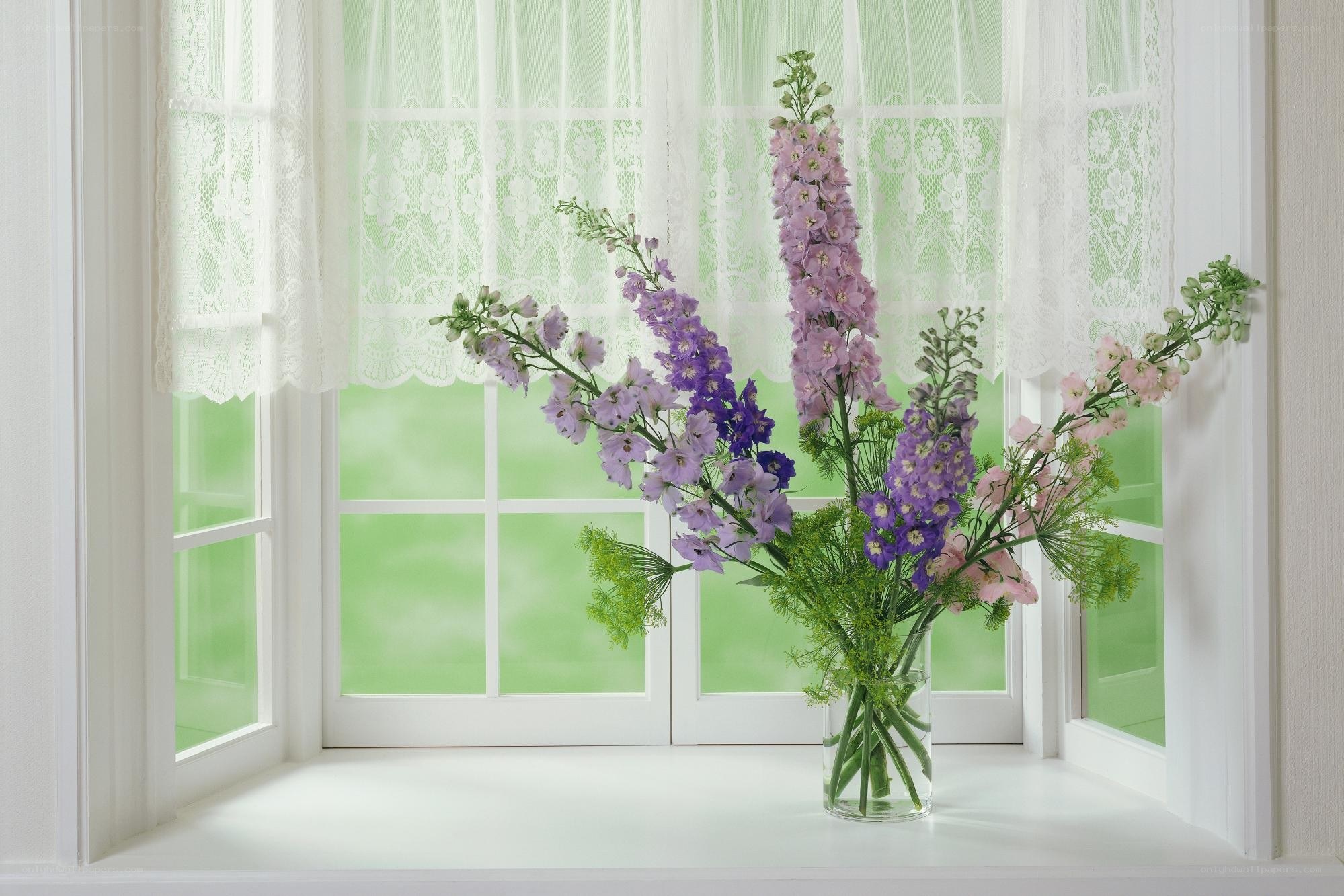 Flowers on a windowsill