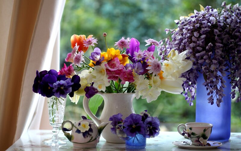 Flowers on a windowsill