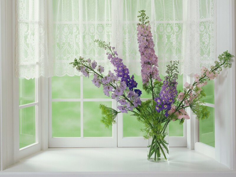 Flowers on a windowsill
