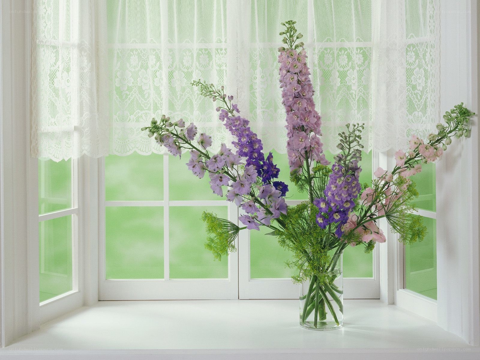 Flowers on a windowsill