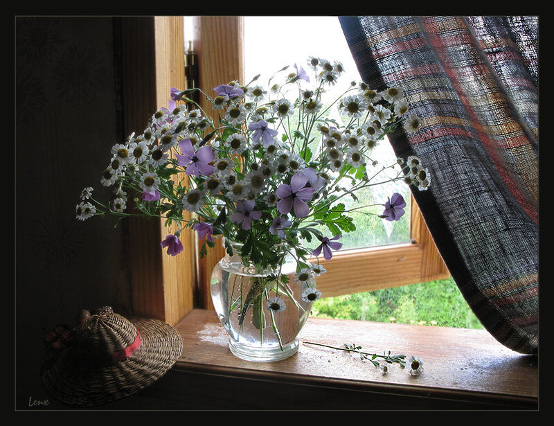 Flowers on a windowsill