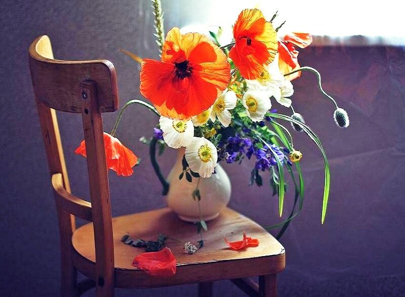 Flowers on a wooden chair