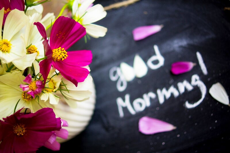 Flowers on Chalkboard