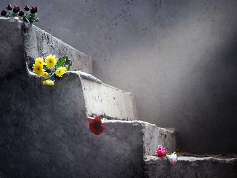 Flowers on concrete stairs