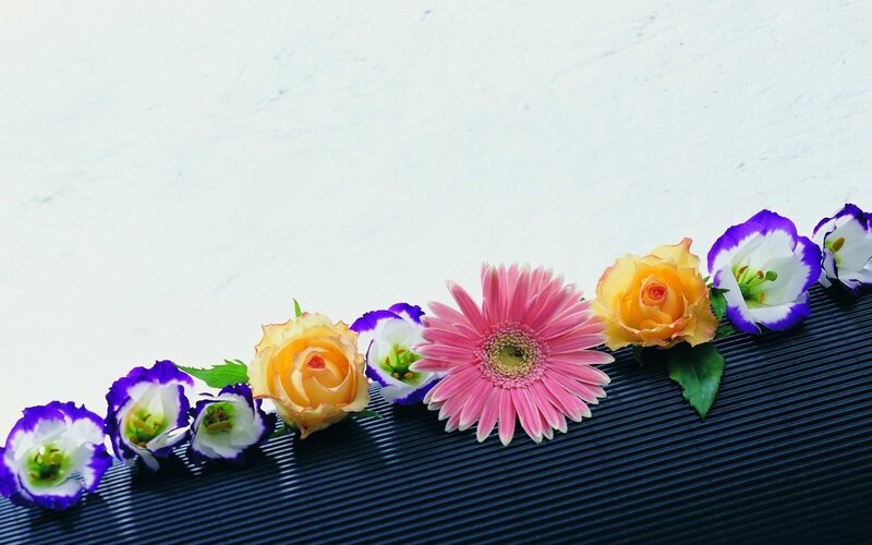 Flowers on Dark Surface