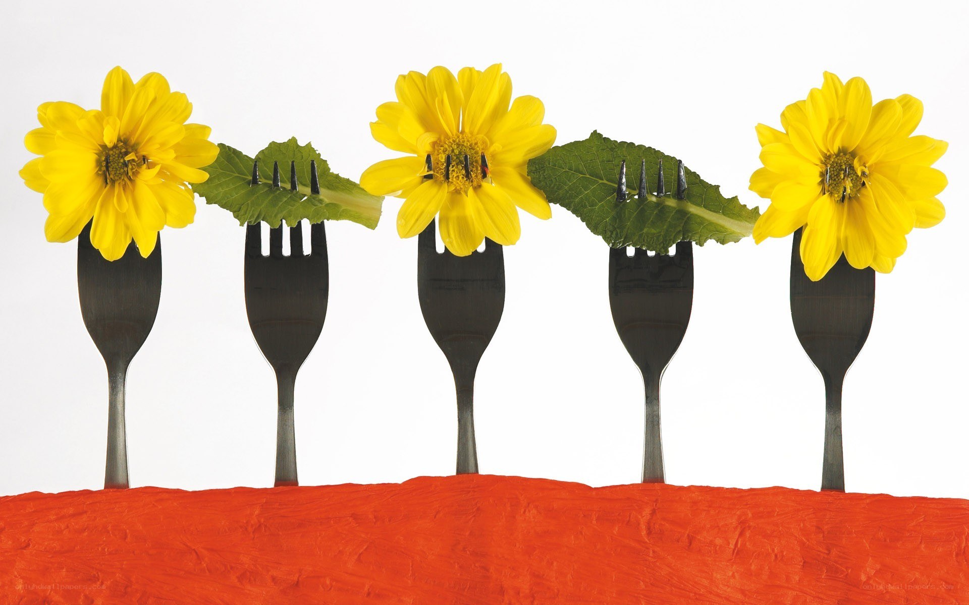 Flowers on forks art