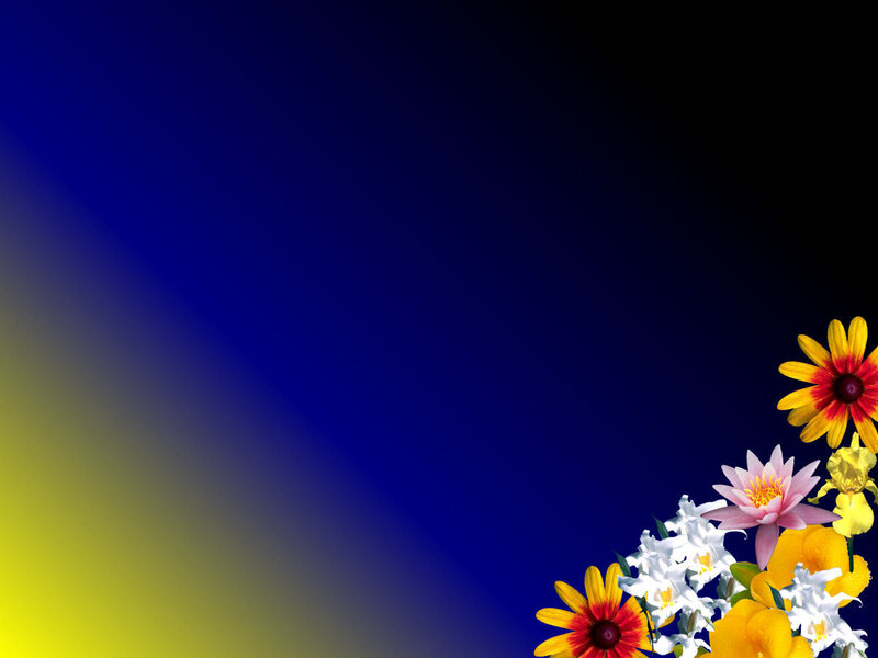 Flowers on gradient background
