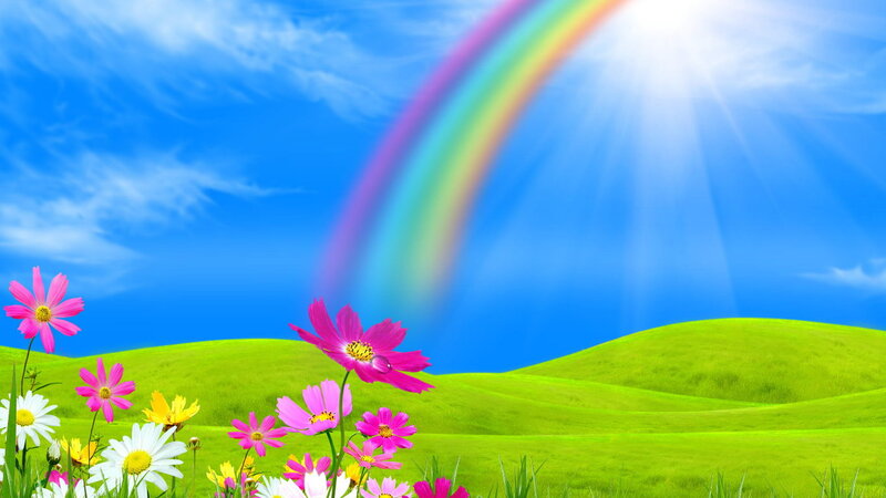 Flowers on Green Hills