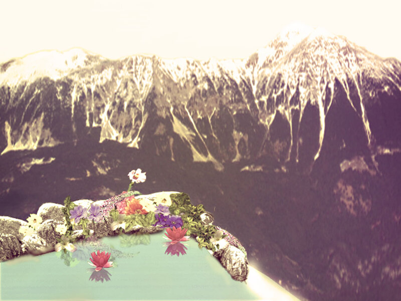 Flowers on Mountain Ledge