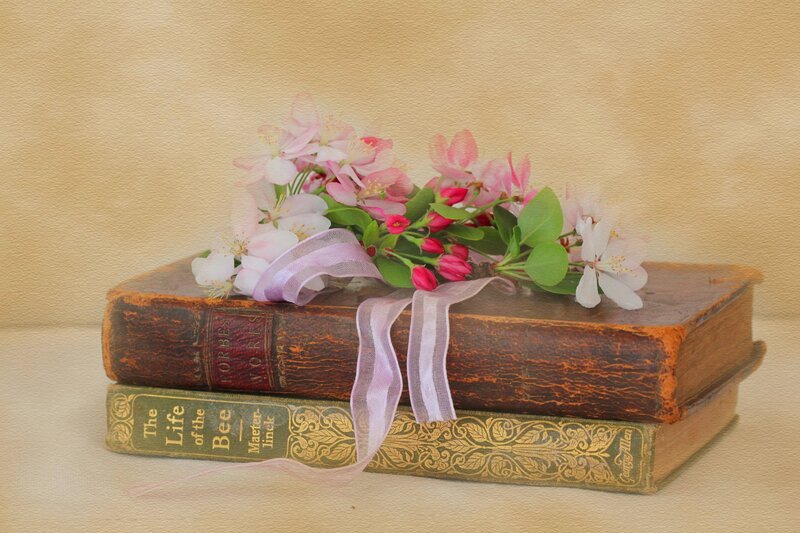 Flowers on Old Books — Brown