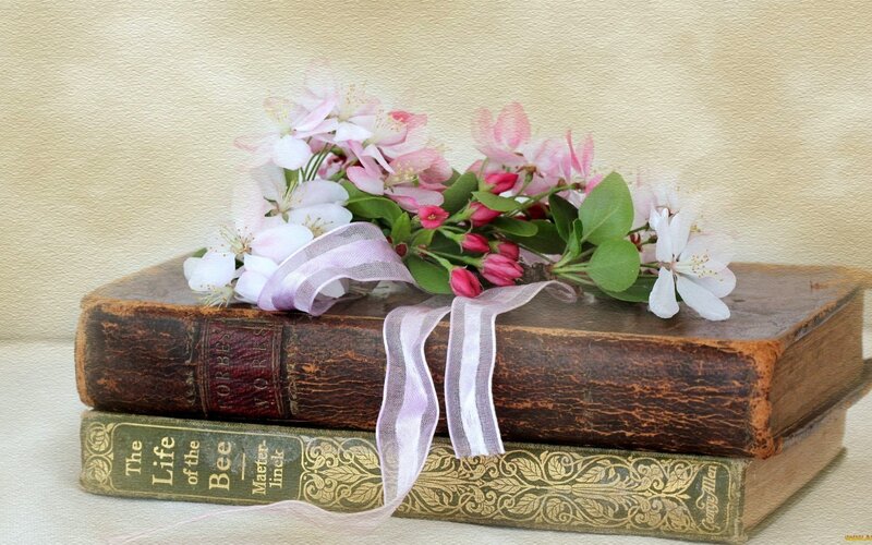 Flowers on Old Books