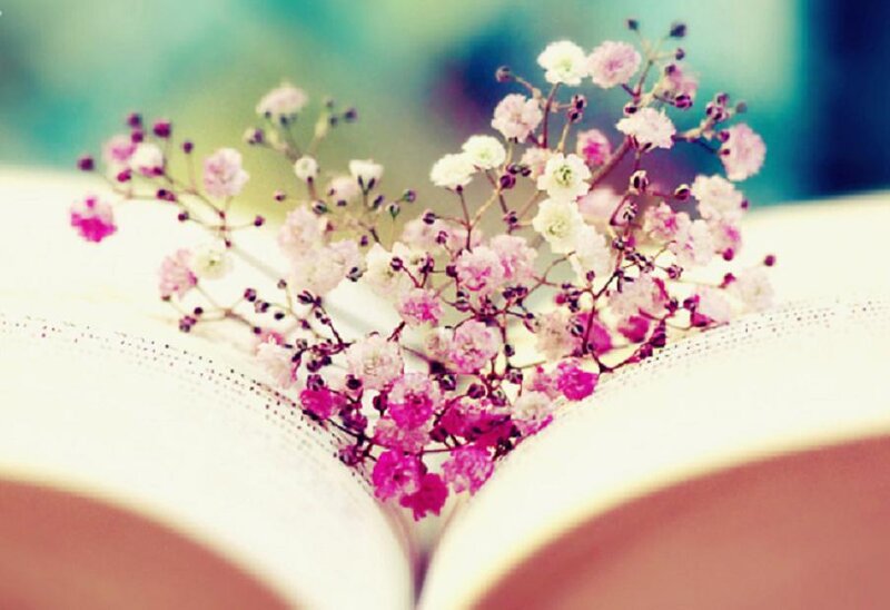 Flowers on Open Book — Pink