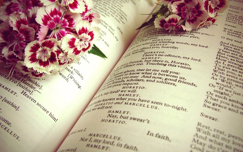 Flowers on Open Book — White, Calm
