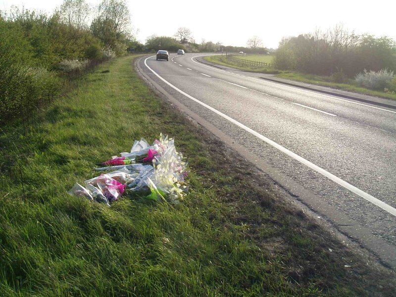 Flowers on Roadside