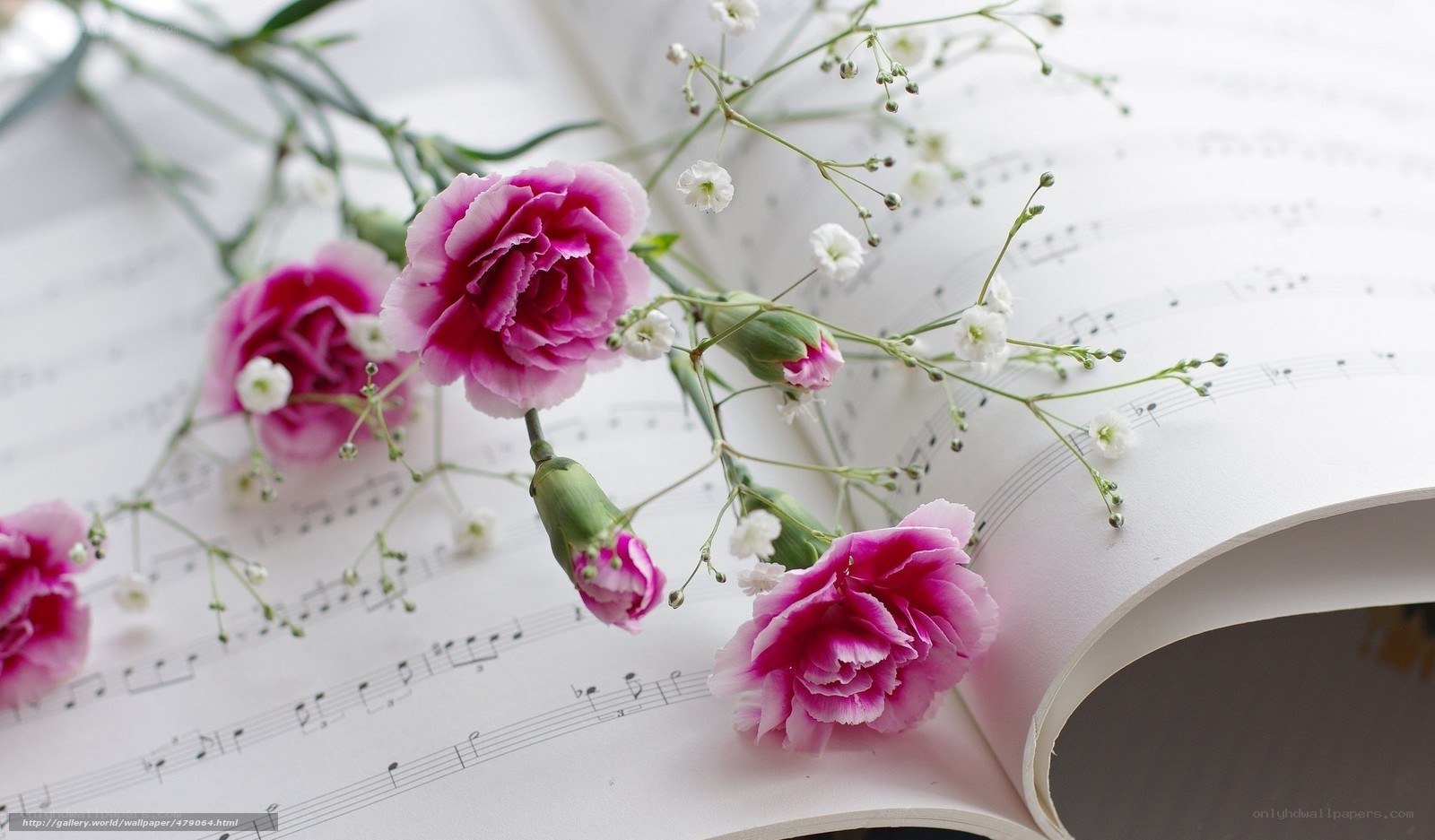 flowers on sheet music