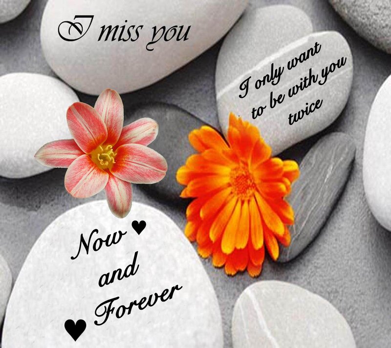 Flowers on Stones