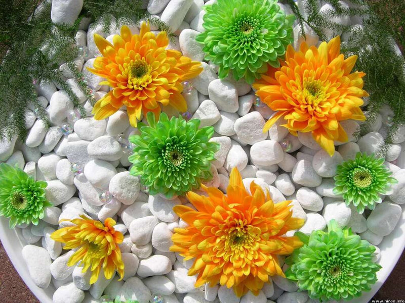 Flowers on white pebbles
