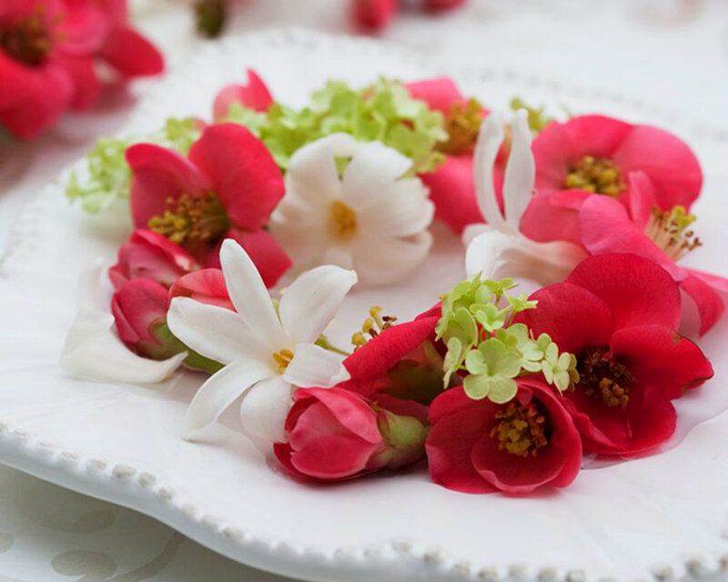 Flowers on White Plate