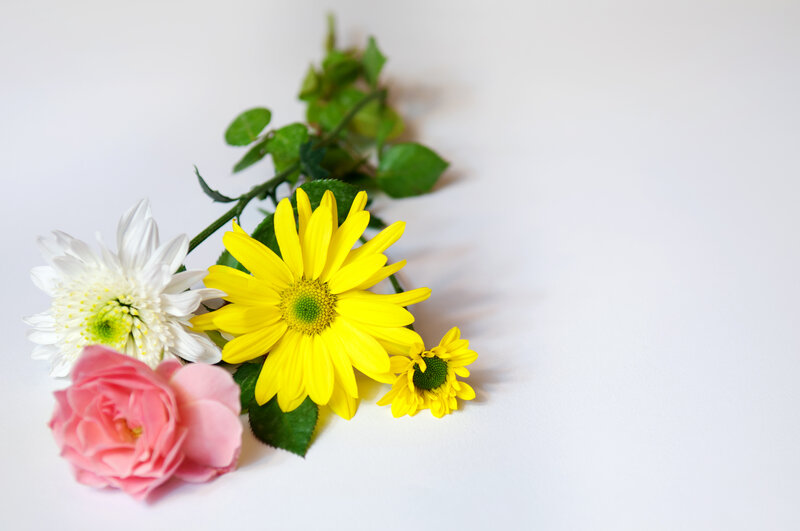 Flowers on White Surface