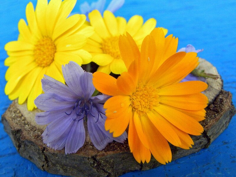 Flowers on Wood Slice