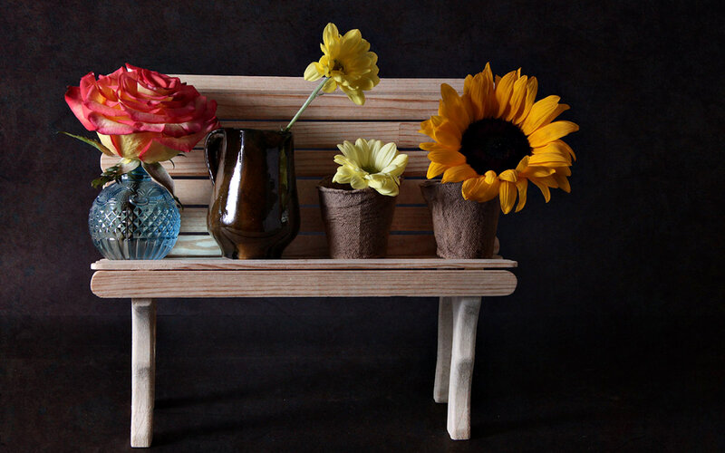 Flowers on Wooden Bench